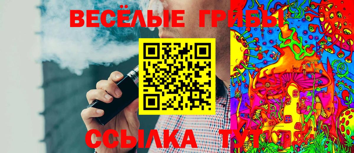Галлюциногенные грибы мухоморы  Вход с VPN  купить наркотики цена  Уссурийск 